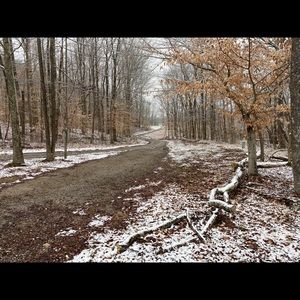 Meet your Posher, Gregory